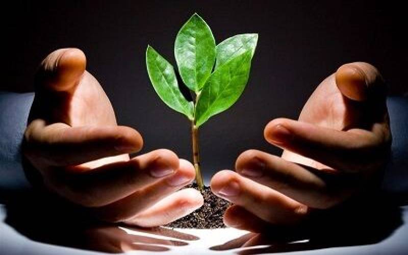 دلالی در نبوداتحادیه ها و تعاونی های کشاورزی فعال در جنوب کرمان رونق می گیرد